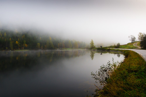 Mistig landschap