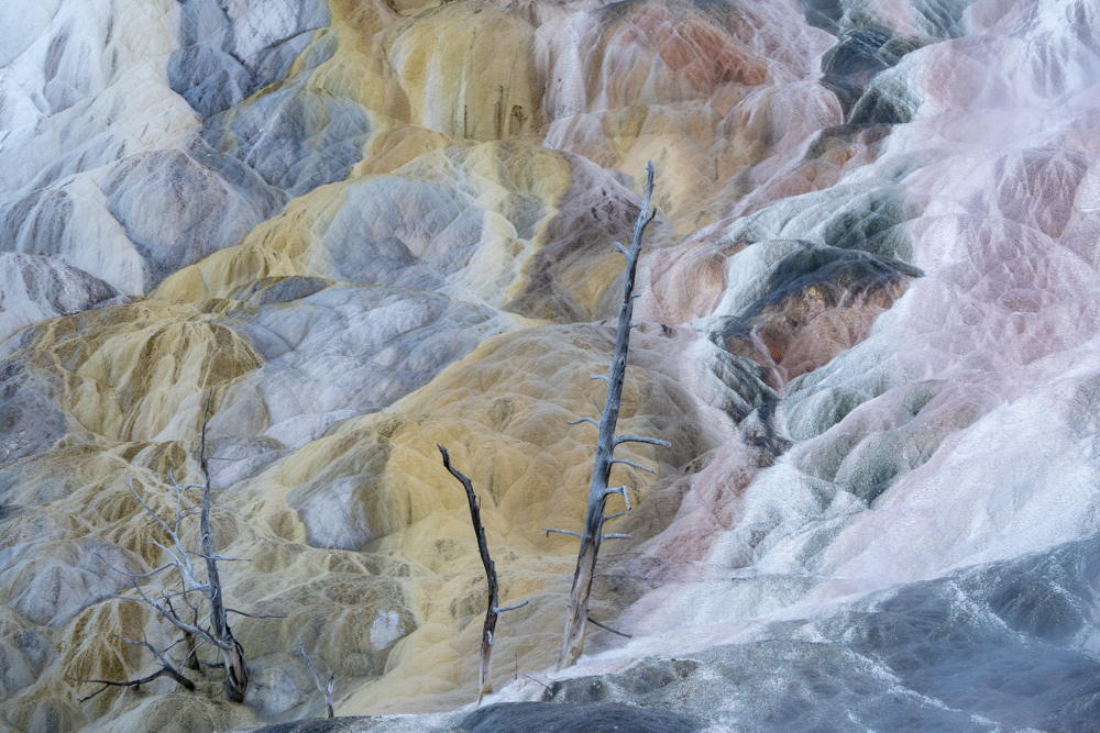 Mammoth hot springs, Yellowstone